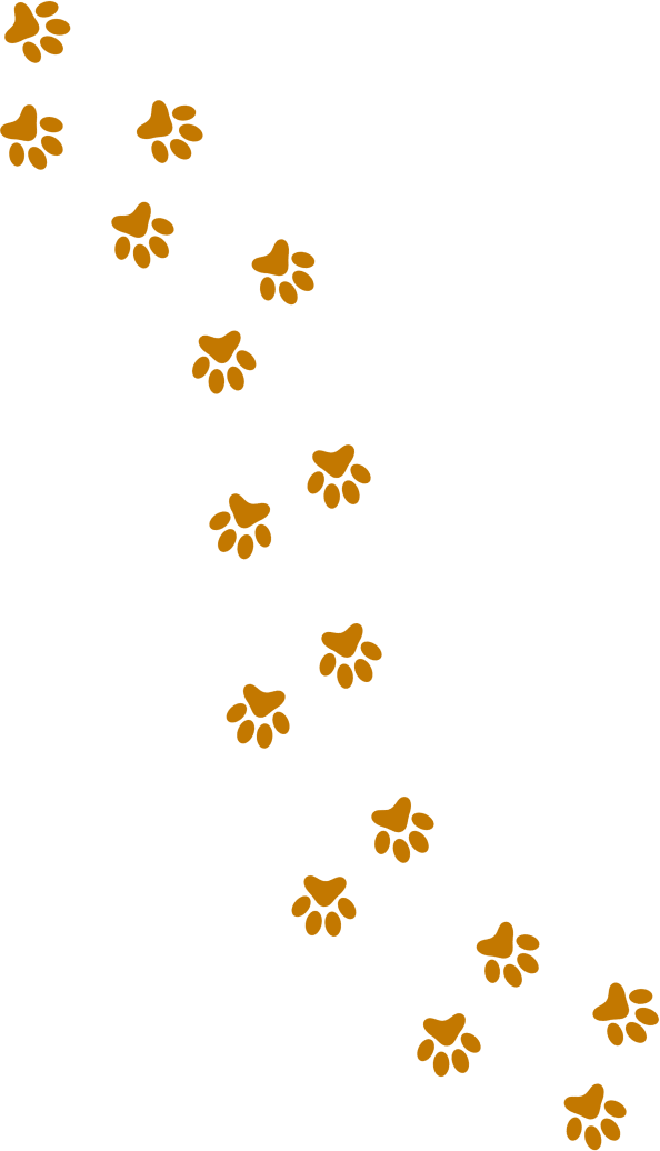 Paw Print