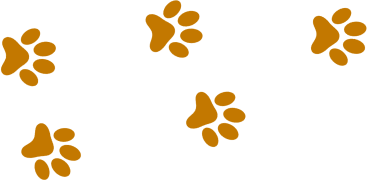 Paw Print